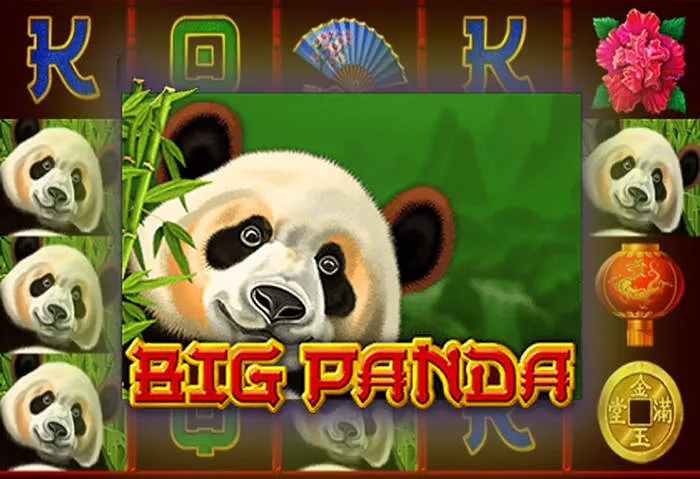 Play at Spinsinocasino: your destination for exciting online slots and live dealer games